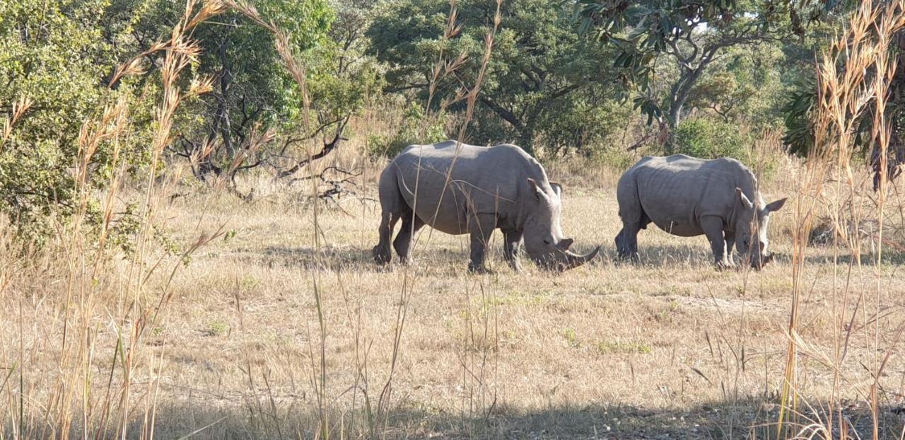 Impala Lodge, Mabalingwe Mabula Game Reserve Eksteriør billede